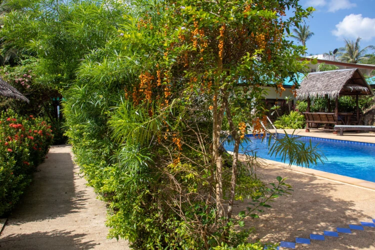 ananda yoga  detox center121752755745.webp