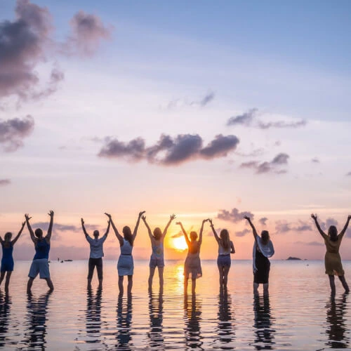 ananda yoga  detox center161752755746.webp