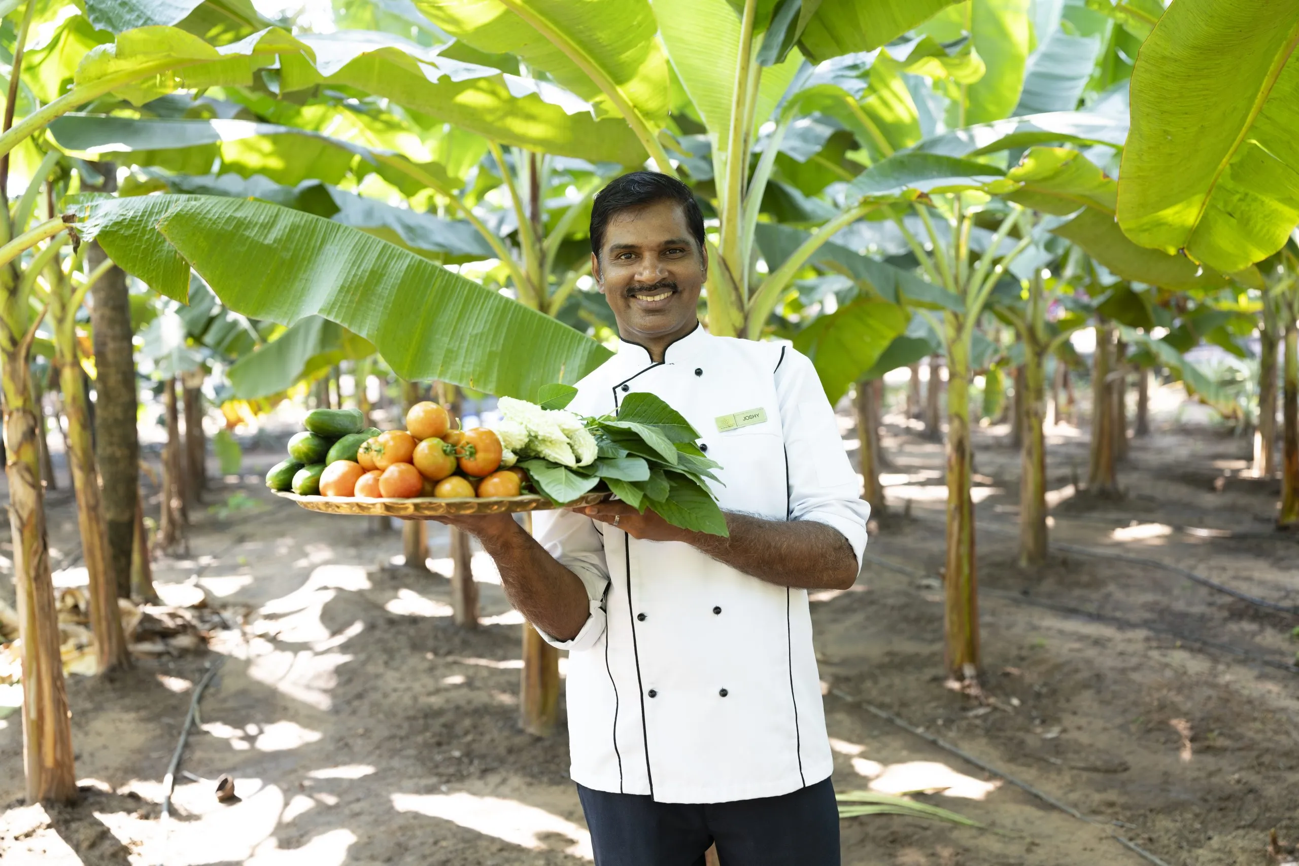 the nattika beach ayurveda resort 131753355373.webp