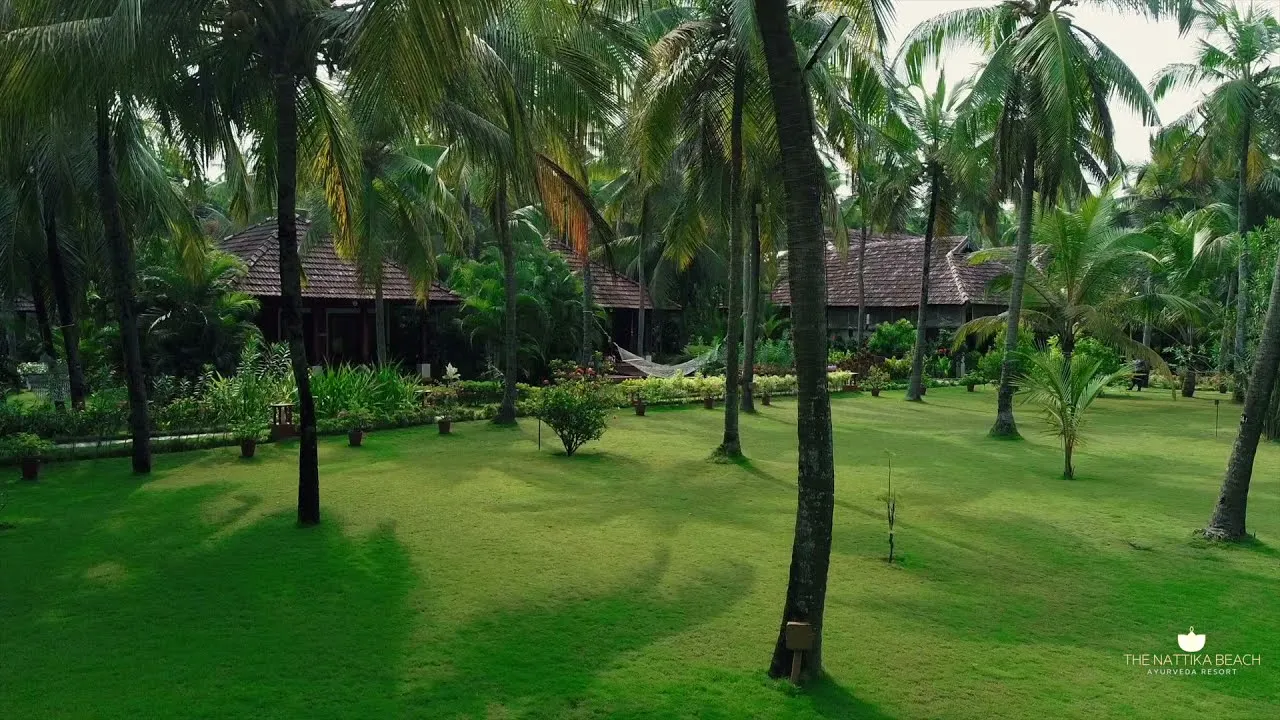 the nattika beach ayurveda resort 331753351748.webp