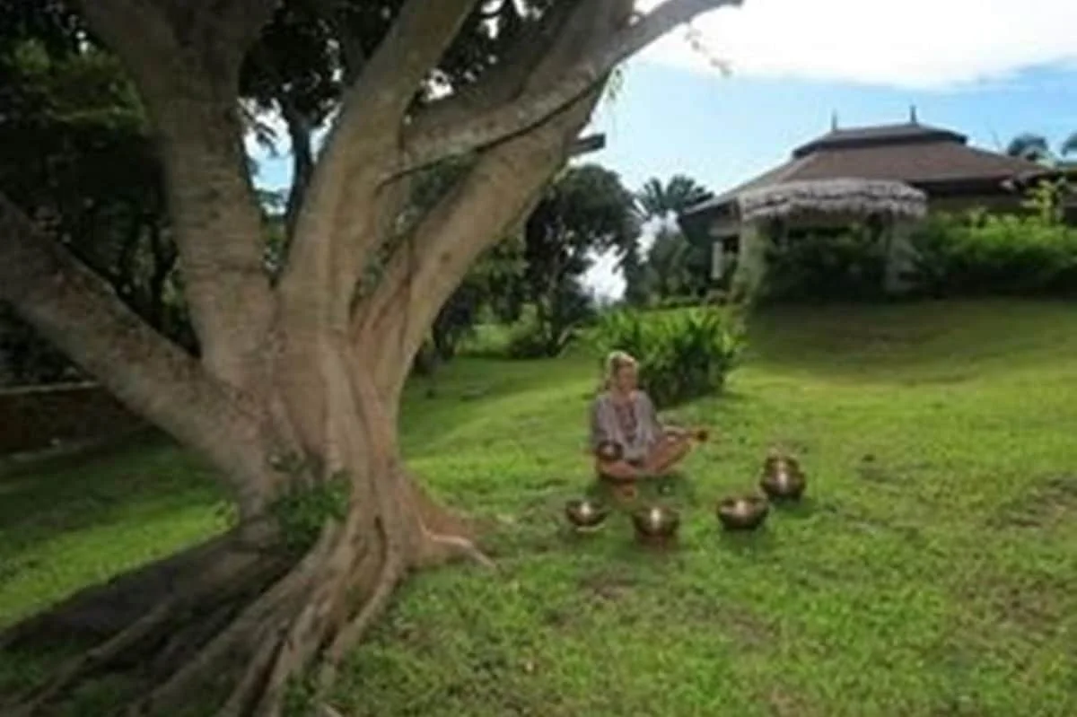ayuryoga eco ashram mysore india 151756124442.webp