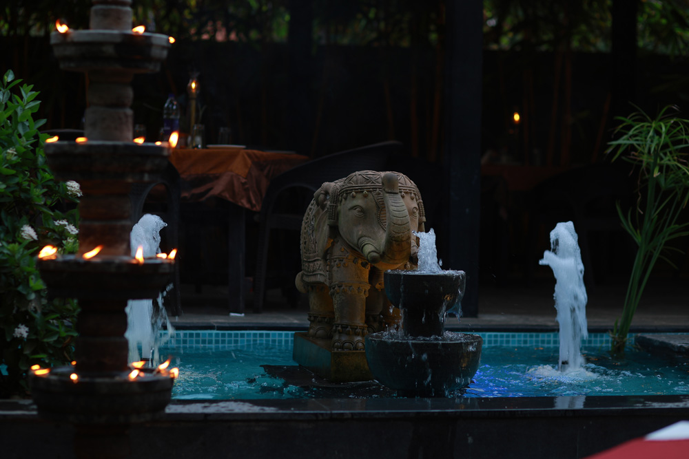 ideal ayurvedic resort kerala 31756120625.jpg