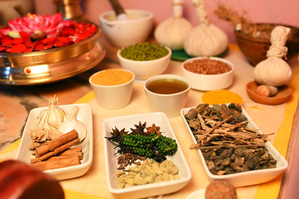 ideal ayurvedic resort kerala 411756120629.jpg