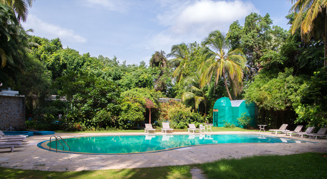 kairali the ayurvedic healing village kerala 281756123622.jpg