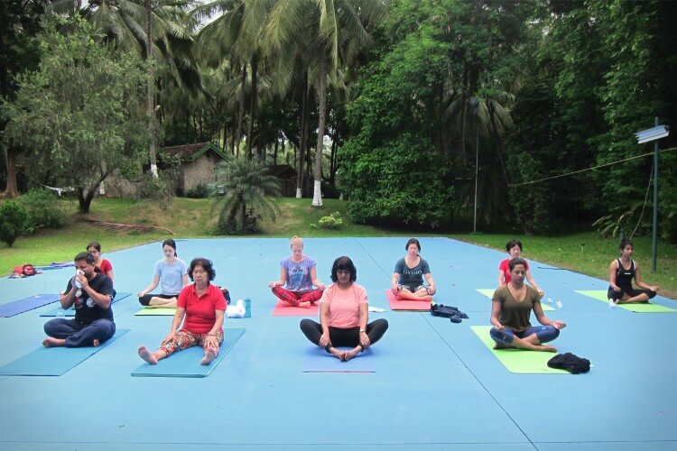 kairali the ayurvedic healing village kerala 51756123618.jpg