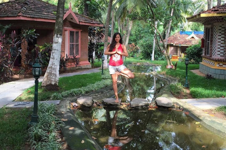 kairali the ayurvedic healing village kerala 551756123625.jpg