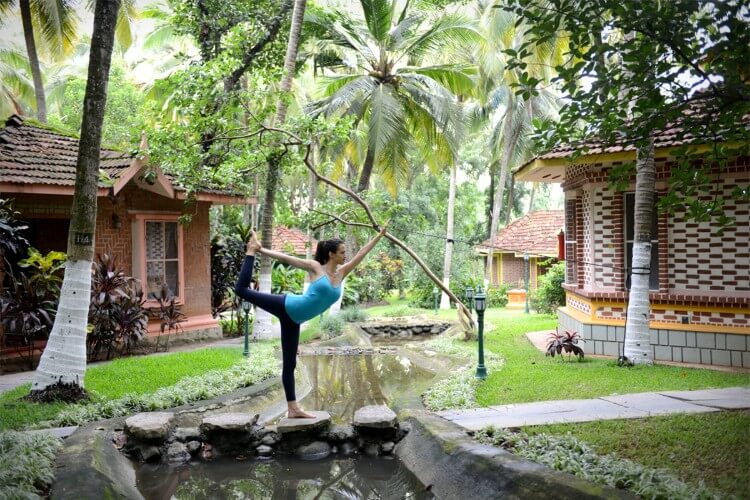 kairali the ayurvedic healing village kerala 591756123626.jpg