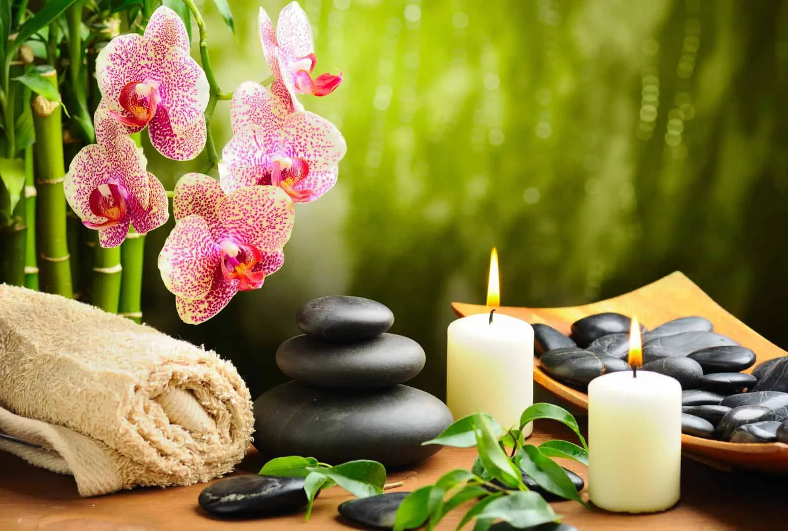 namasthe ayurveda  yoga retreat 241756121624.webp