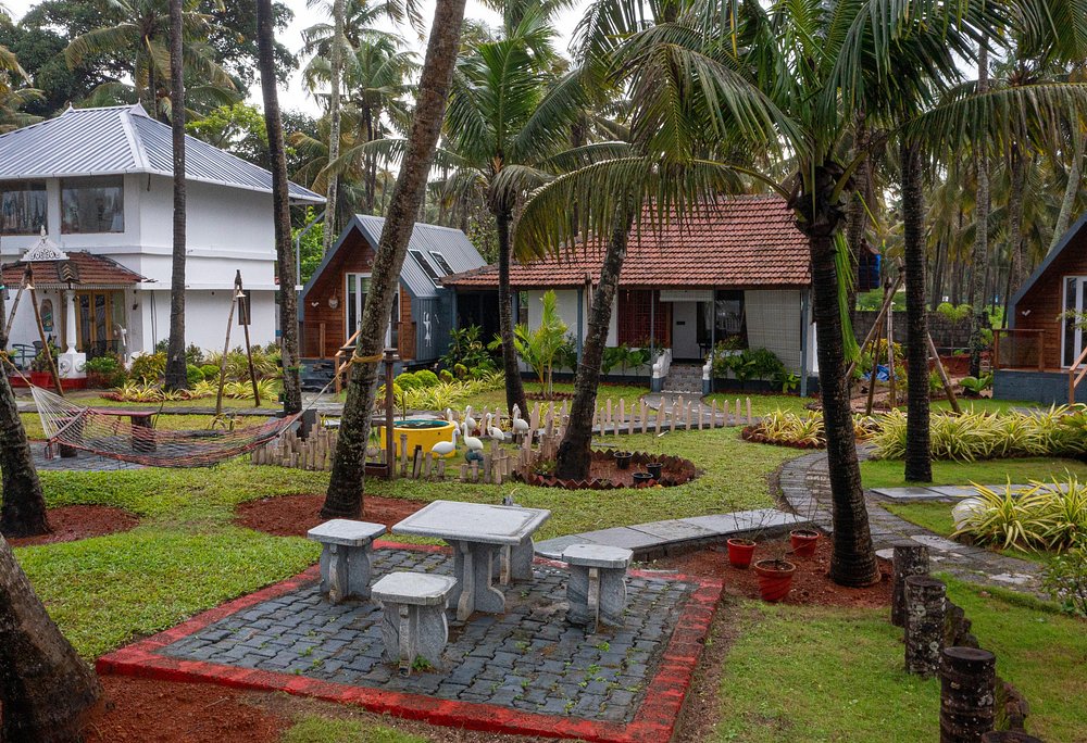 veda5 ayurveda wellness kerala 11756126852.jpg