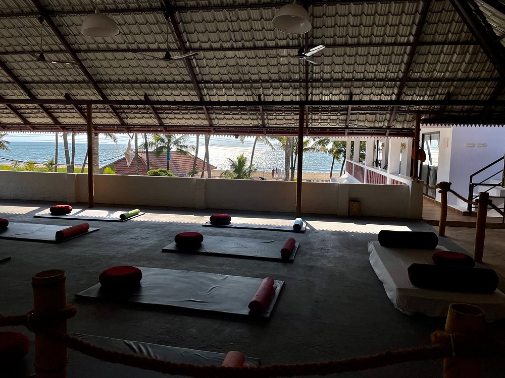 veda5 ayurveda wellness kerala 151756126855.jpg