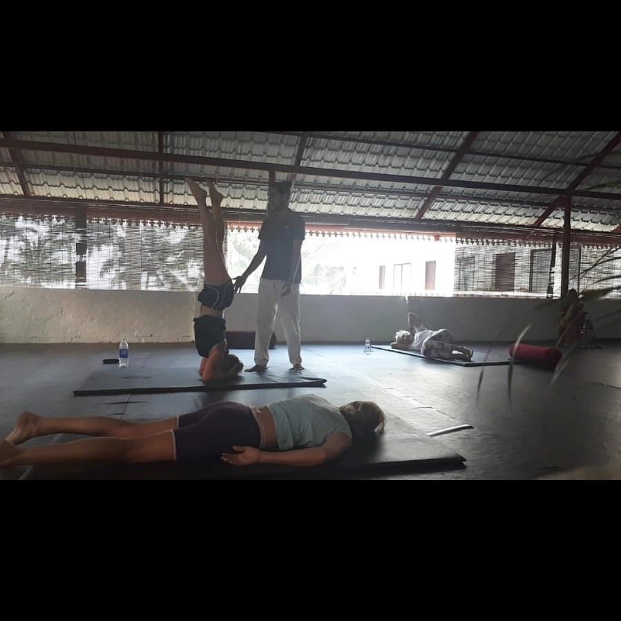veda5 ayurveda wellness kerala 191756126855.jpg