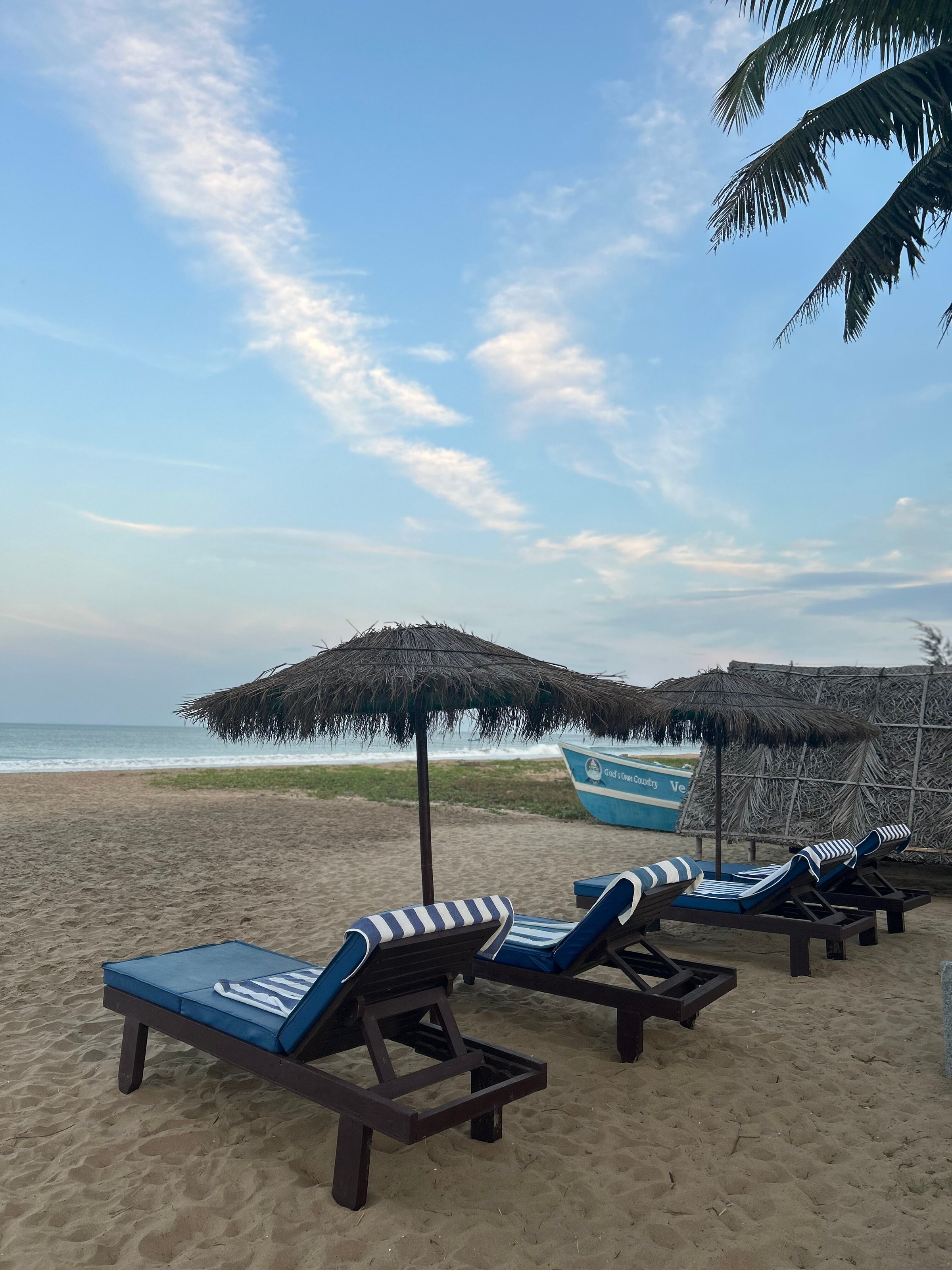 veda5 ayurveda wellness kerala 261756126857.jpg