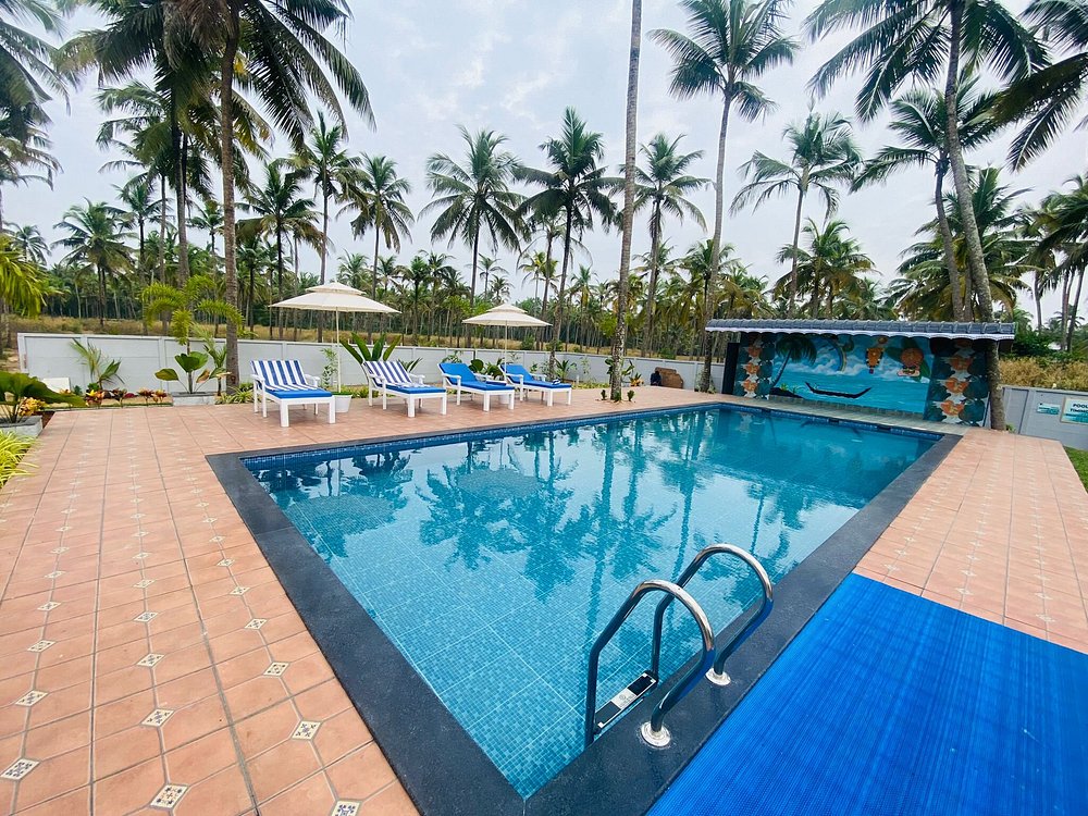 veda5 ayurveda wellness kerala 41756126853.jpg