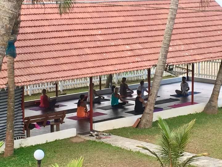 veda5 ayurveda wellness kerala 451756126863.jpg