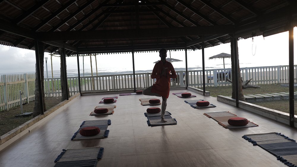 veda5 ayurveda wellness kerala 231756793831.jpg