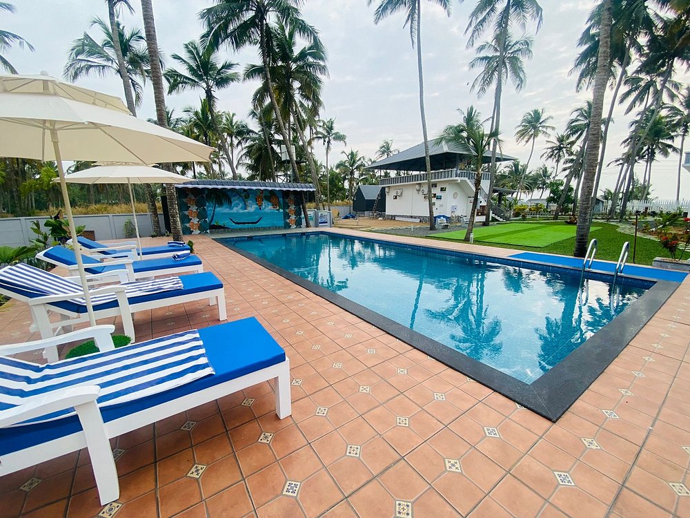 veda5 ayurveda wellness kerala 51756793829.jpg