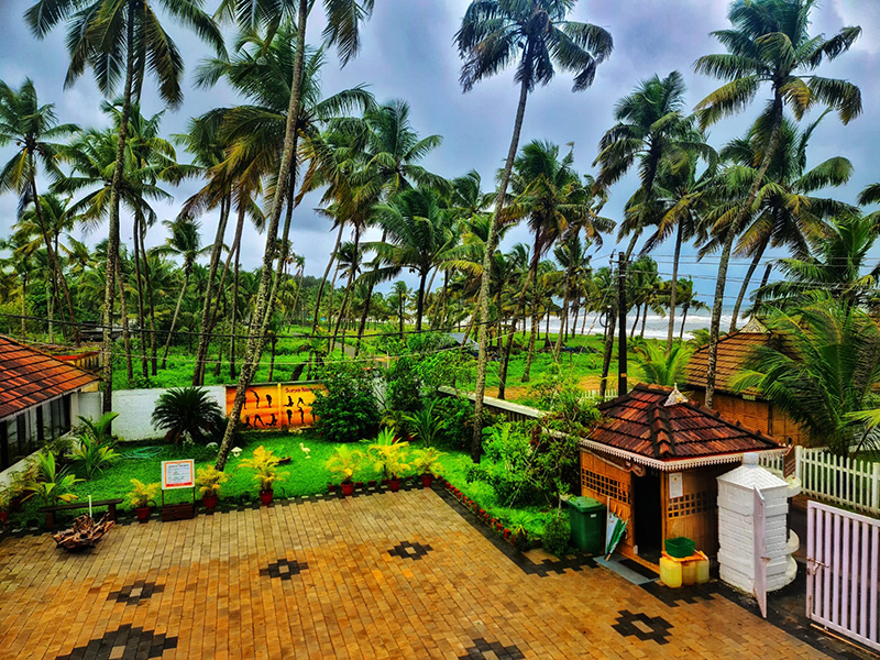 veda5 ayurveda wellness kerala 91756793829.jpg