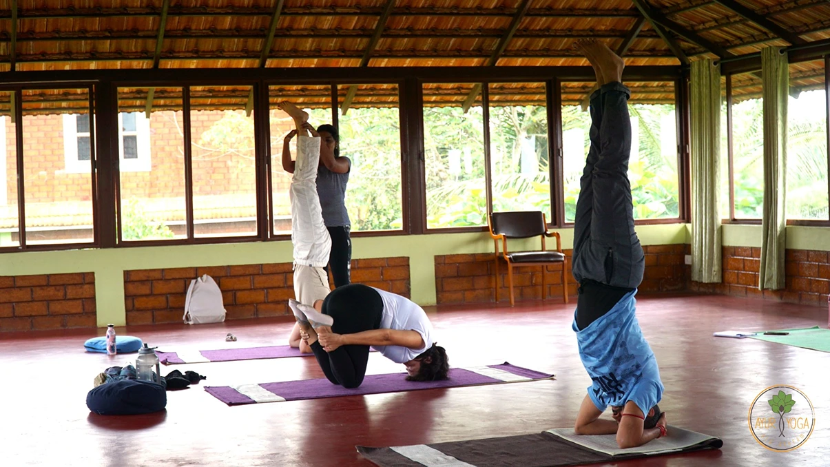 ayuryoga eco ashram mysore251758099949.webp