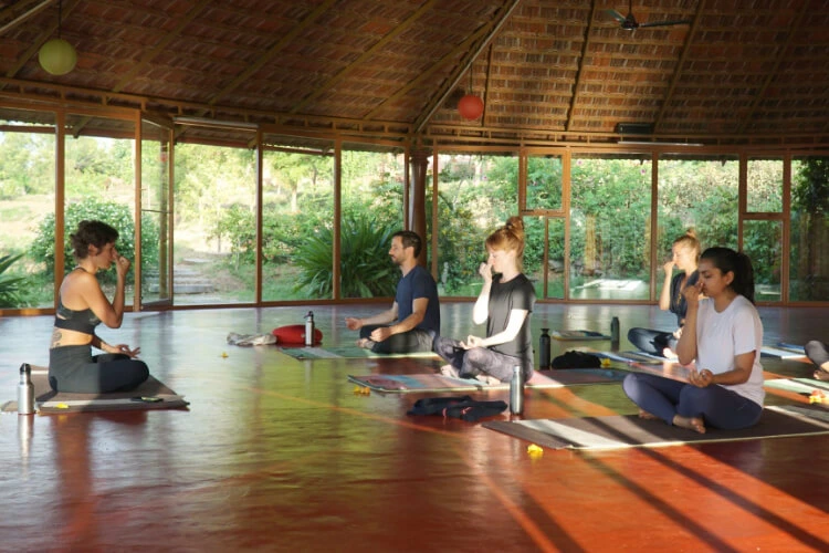 ayuryoga eco ashram1758099950.webp