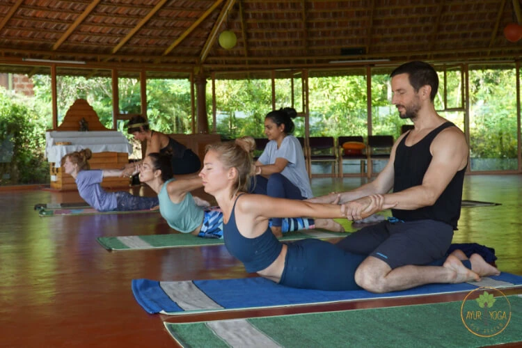 ayuryoga eco ashram21758099950.webp