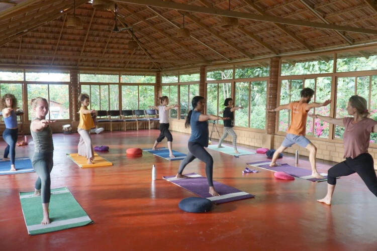 ayuryoga eco ashram31758099950.webp