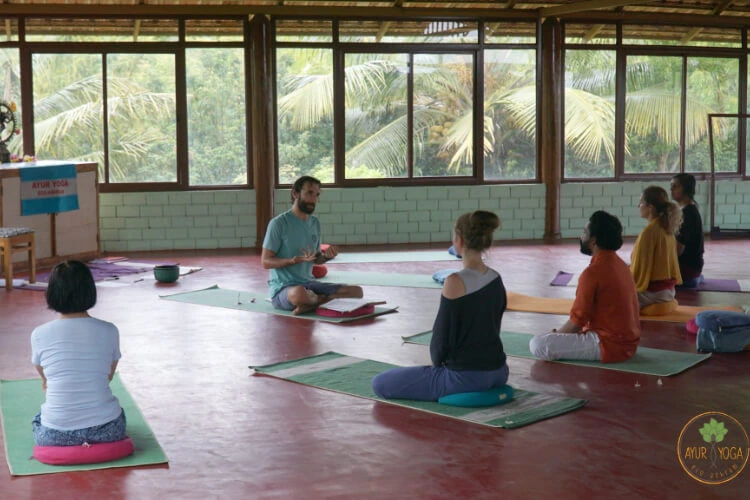 ayuryoga eco ashram41758099950.webp