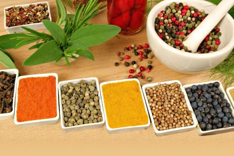 namaste ayurvedic wellness centre231761644152.webp