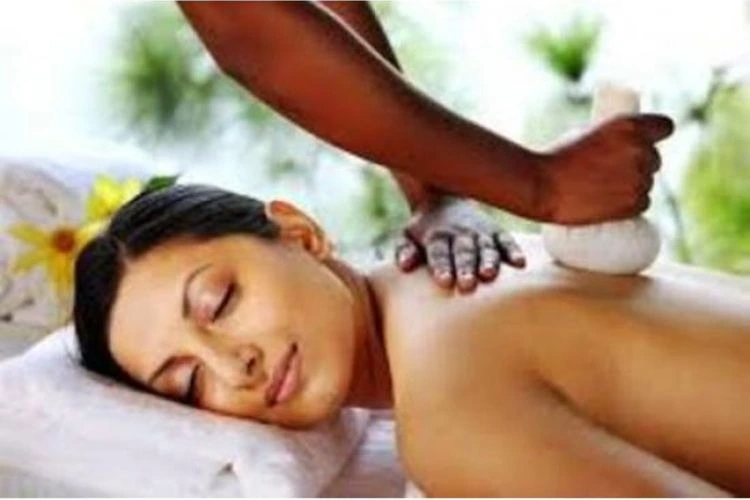 namaste ayurvedic wellness centre281761643463.webp