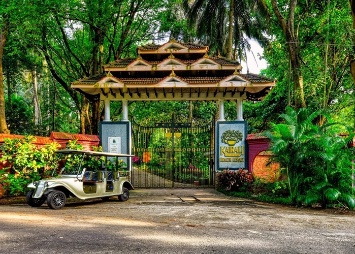 Kairali - The Ayurvedic Healing Village10.webp