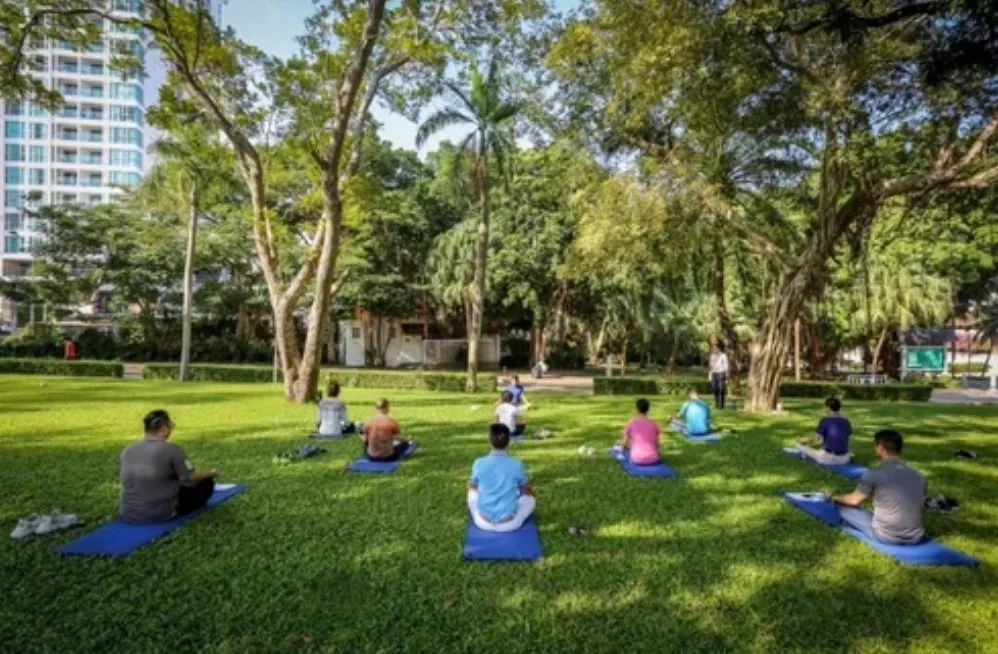 lek yoga501762517810.webp