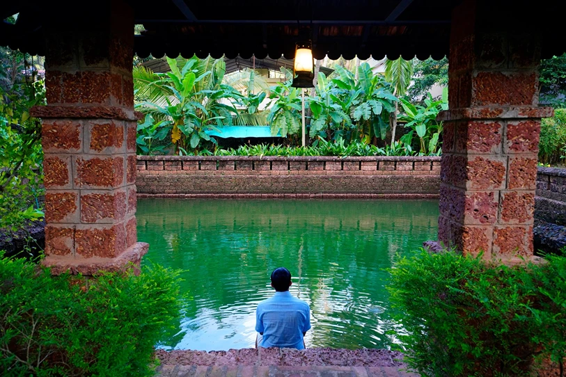 harivihar heritage homestead and ayurvedic resort panchakarma retreat calicut kerala21764058992.webp