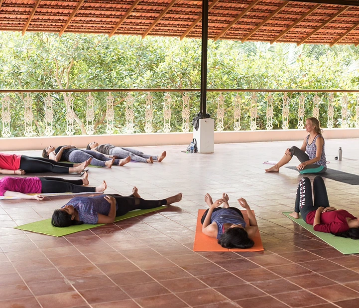 yin yoga therapy training191766570153.webp