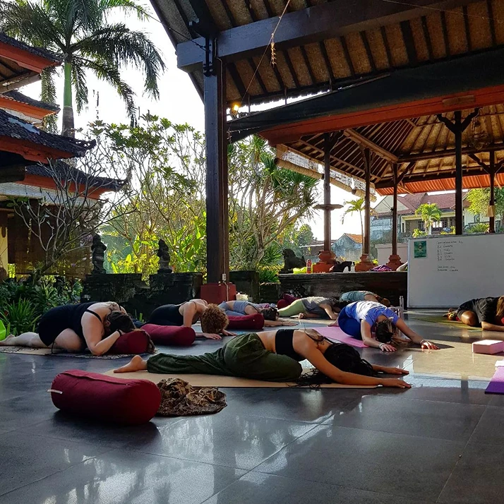 yin yoga therapy training151766736576.webp