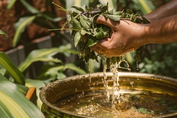 krishnendu ayurveda kerala111767872658.webp