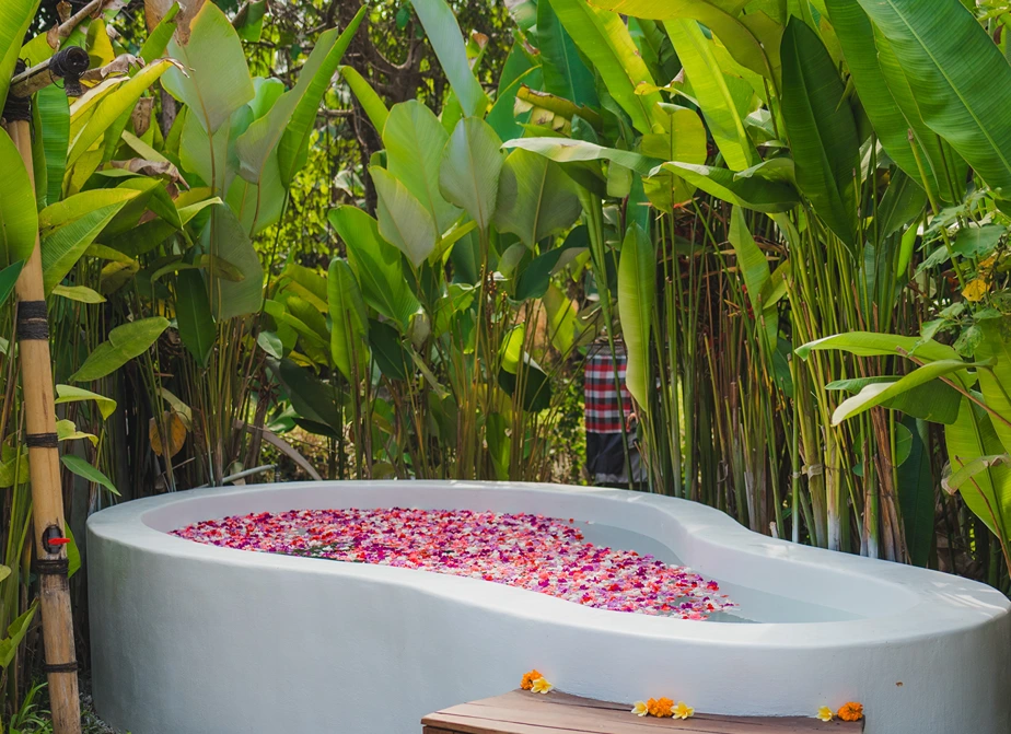 banya241768042619.webp