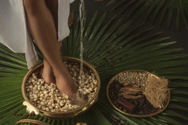 krishnendu ayurveda kerala331768046931.webp