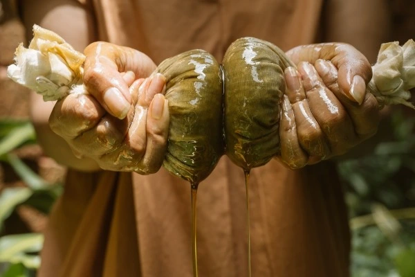 krishnendu ayurveda kerala121768304079.webp