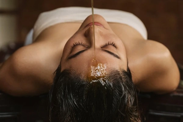 krishnendu ayurveda kerala171768304079.webp