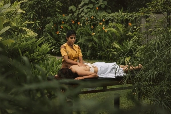 krishnendu ayurveda kerala21768301678.webp