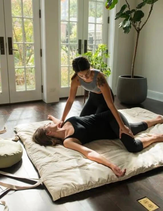 naturoville himalayan wellness retreat231770118438.webp
