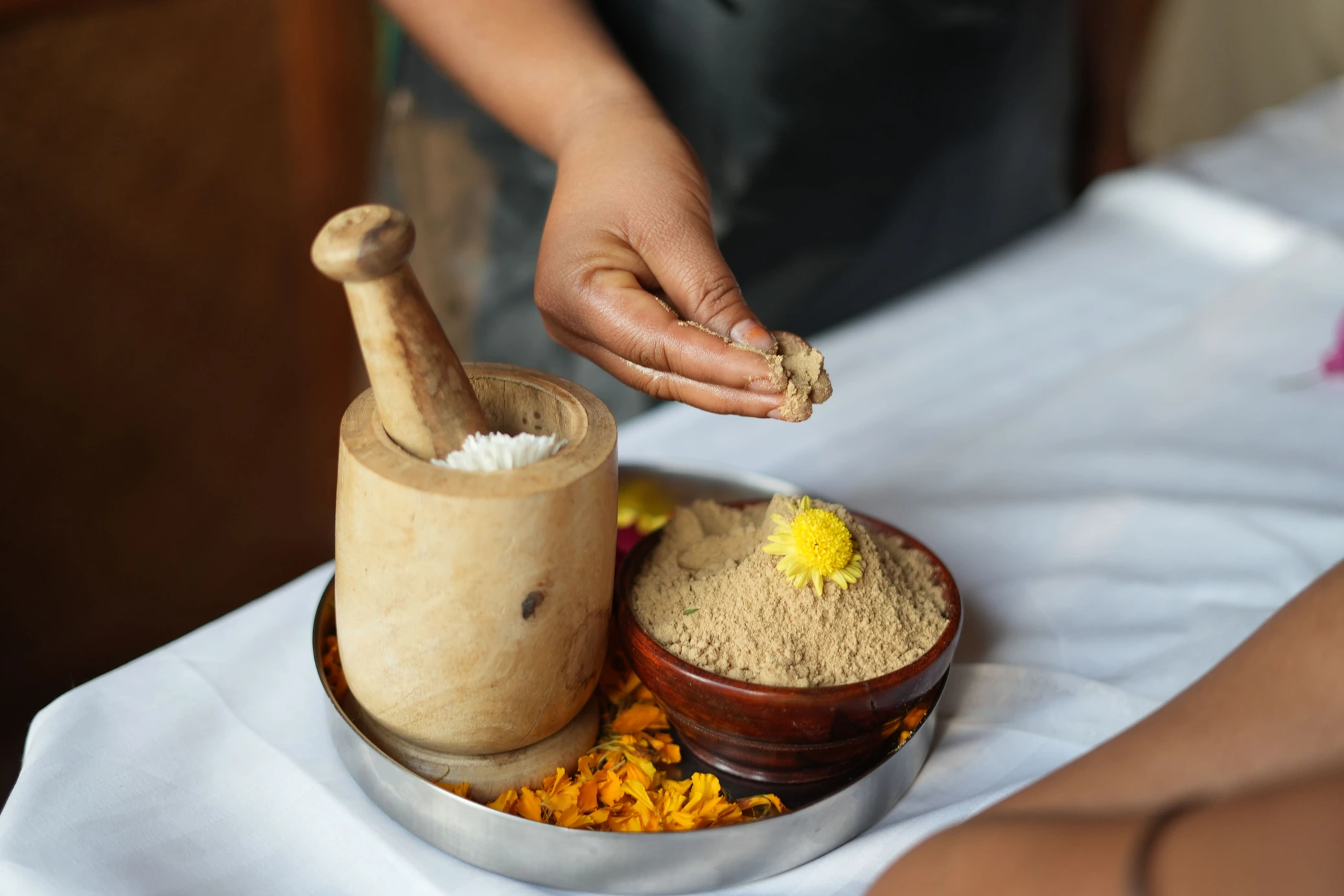 naturoville himalayan wellness retreat251770109882.webp