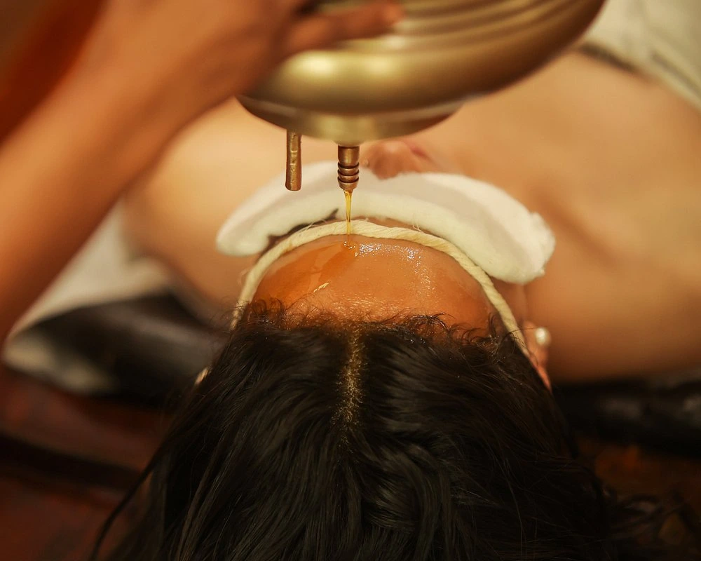 naturoville himalayan wellness retreat861770118440.webp