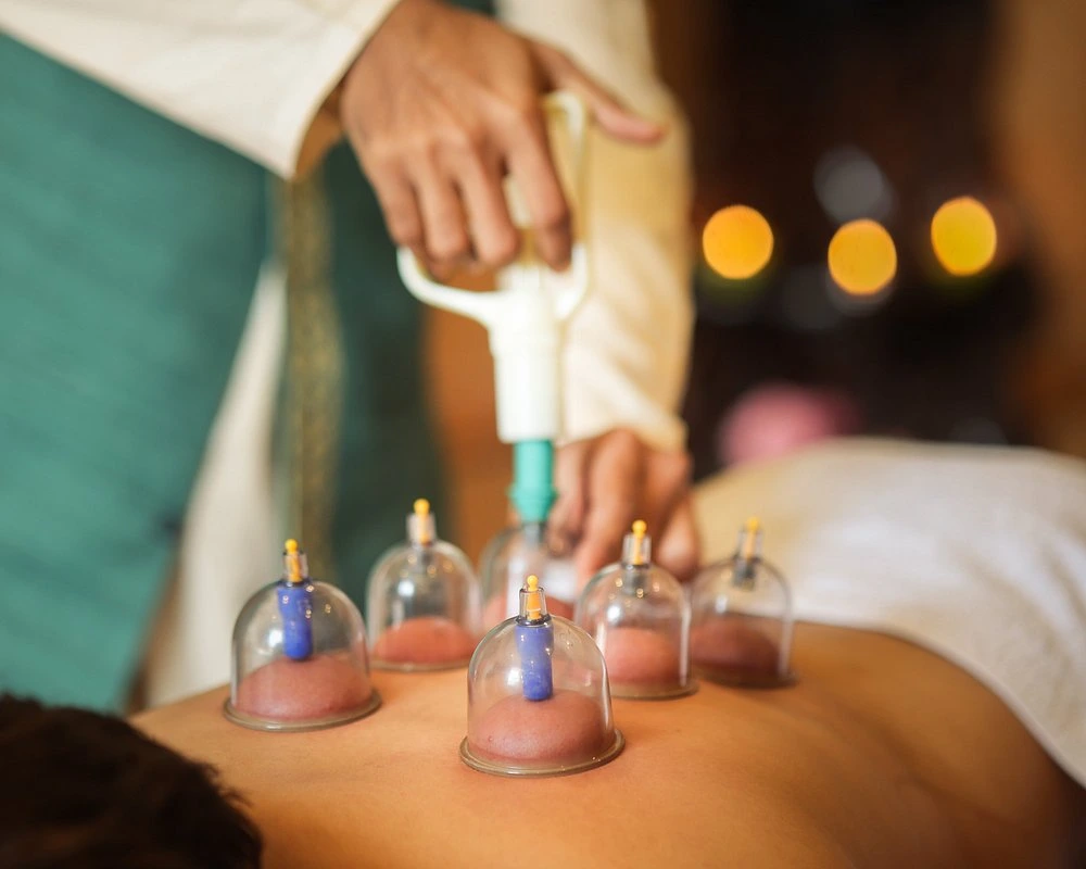 naturoville himalayan wellness retreat961770120467.webp