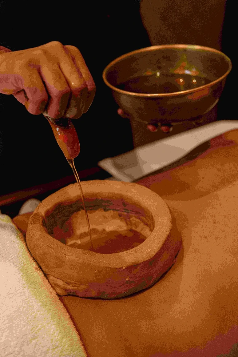 naturoville himalayan wellness retreat101770194764.webp