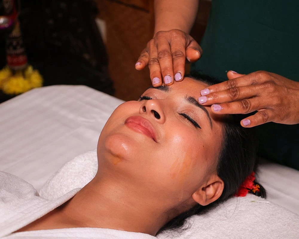 naturoville himalayan wellness retreat1101770194769.webp