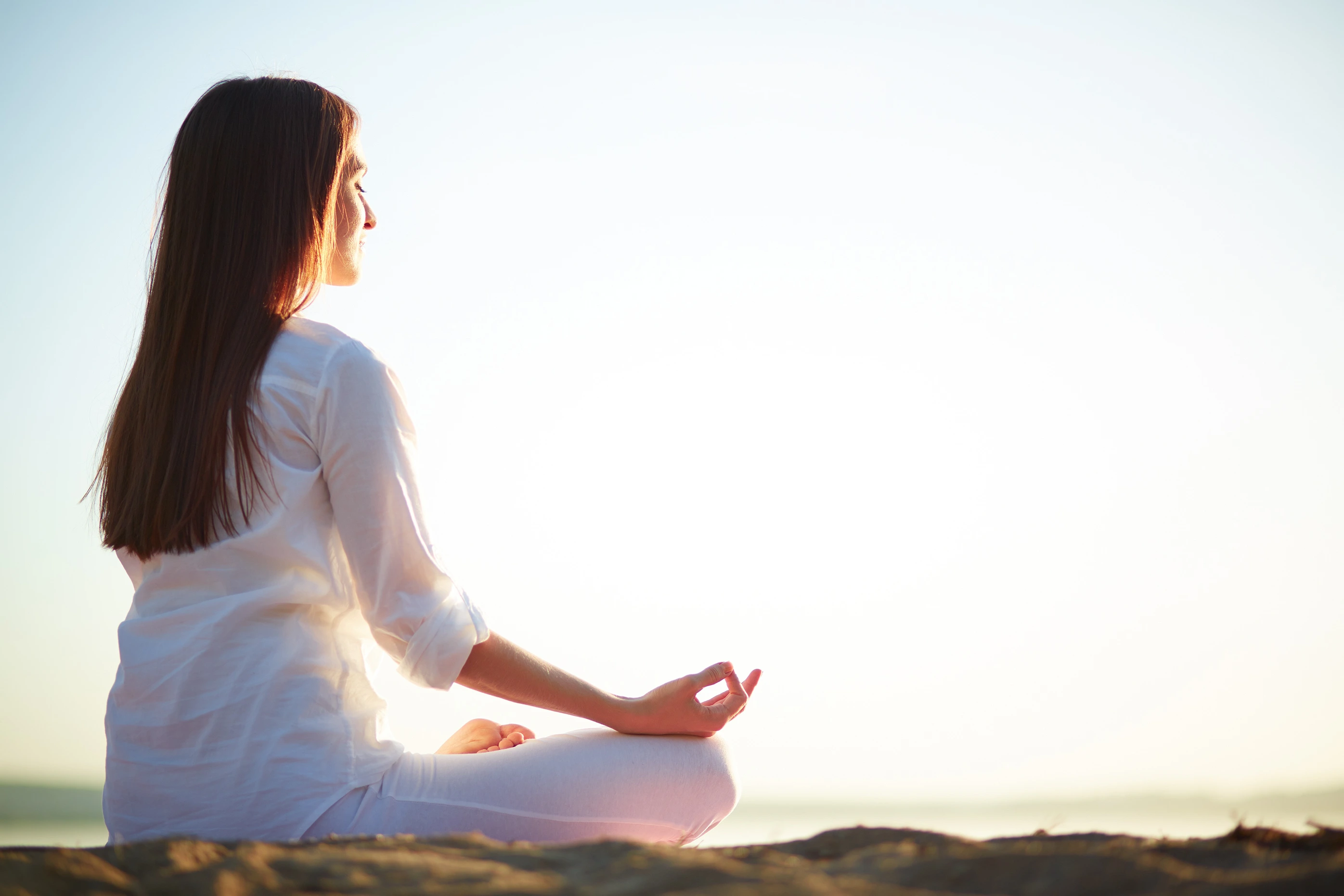 naturoville himalayan wellness retreat301770191374.webp