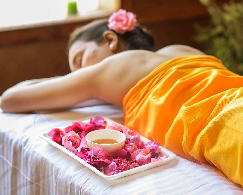 naturoville himalayan wellness retreat901770191376.webp