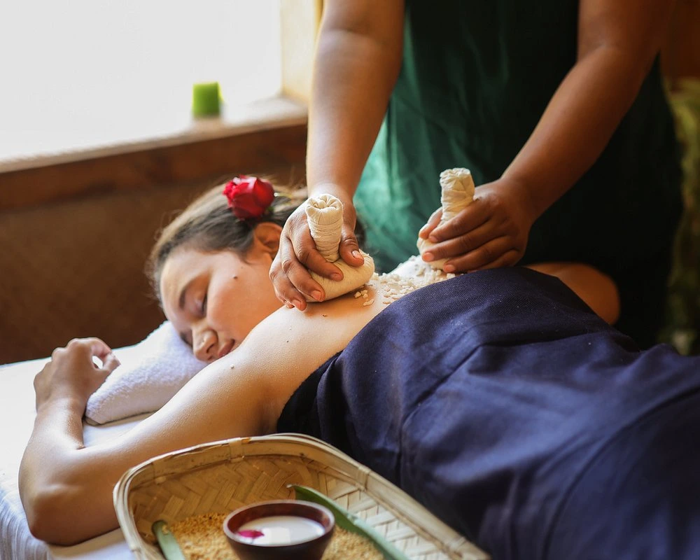 naturoville himalayan wellness retreat921770193937.webp