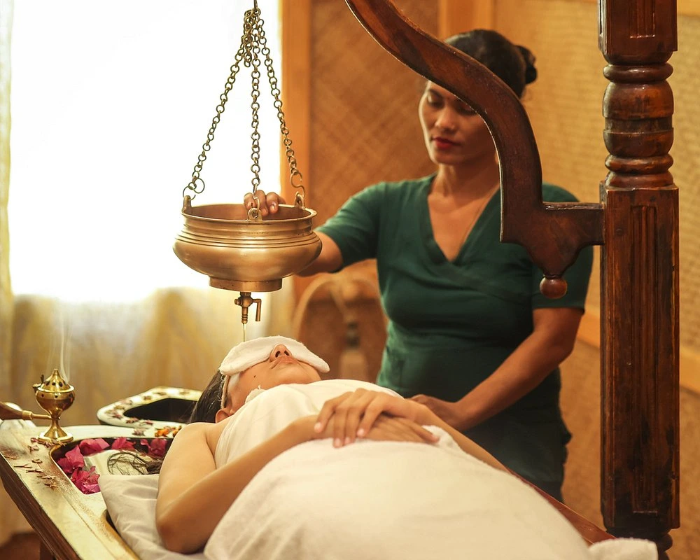 naturoville himalayan wellness retreat931770193937.webp