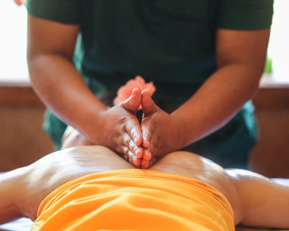naturoville himalayan wellness retreat941770194767.webp